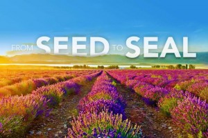 Seed To Seal — Как получают самые чистые масла на Земле