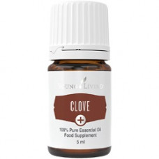 Clove Plus - Эфирное масло гвоздики