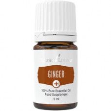Ginger Plus - Эфирное масло имбиря