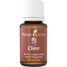 Эфирное масло гвоздики (Clove), свойства и применение, эффект аромата и отзывы