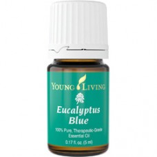 Свойства и применение эфирного масла эвкалипта голубого (Eucalyptus Blue)