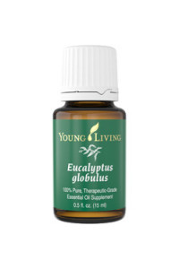 Eucalyptus Globulus - эфирное масло эвкалипта шаровидного