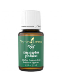 Eucalyptus Globulus - эфирное масло эвкалипта шаровидного