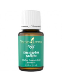 Eucalyptus Radiata - эфирное масло эвкалипта радиата