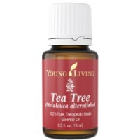 Tea Tree - эфирное масло чайного дерева Melaleuca Alternifolia