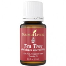 Свойства и применение эфирного масла чайного дерева Melaleuca Alternifolia