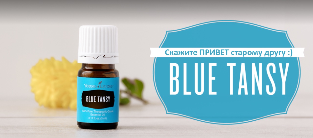 Купить Blue Tansy (Tanacetum annuum) — эфирное масло голубой пижмы